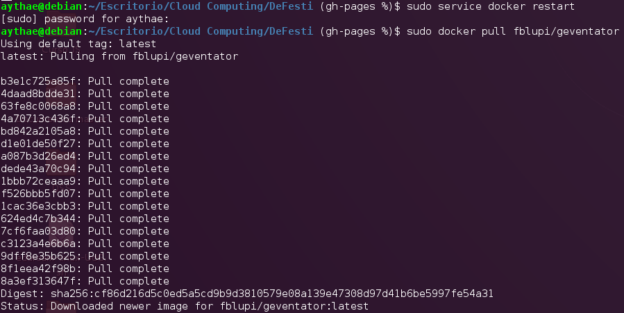 Descarga contenedor docker fblupi